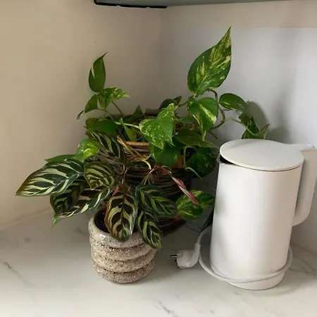 Et Rom I Rekkehuset Apartman